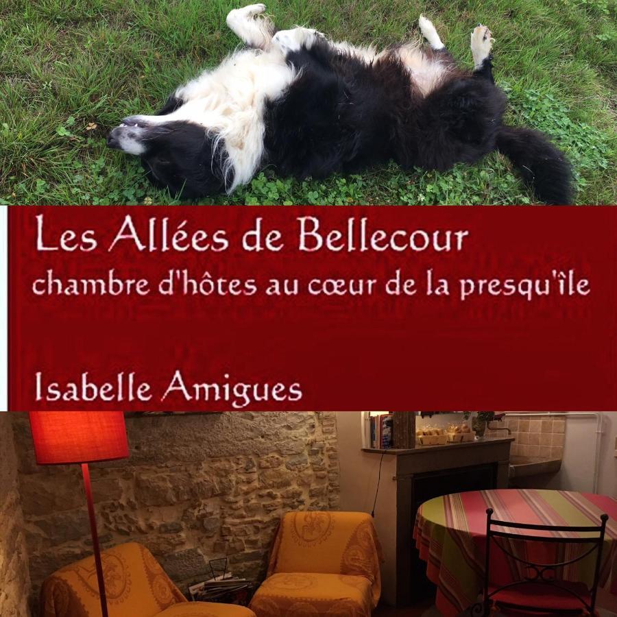 Les Allées de Bellecour Lyon Extérieur photo